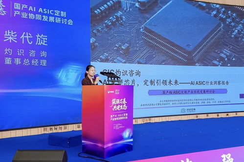 国产AI ASIC定制产业协同发展研讨会在京举行 聚焦技术服务与开发新路径